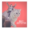 Crazy Cat Lady by Ida Fladen iTunes Track 1