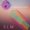 S L M - STROKEMANENT lyrics