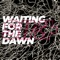 Waiting for the Dawn artwork