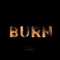 Burn (feat. Lxrd Kilo) - Kingboii lyrics