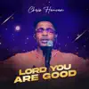 Lord You Are Good - Single album lyrics, reviews, download