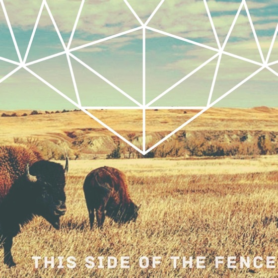 Cover artwork for This Side of the Fence