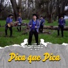 Pica que Pica - Single