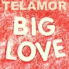 Big Love - Single