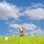 Flower Boy (feat. Snappy) artwork