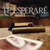 Te Esperaré - Single