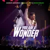 You Are a Wonder - Single album lyrics, reviews, download