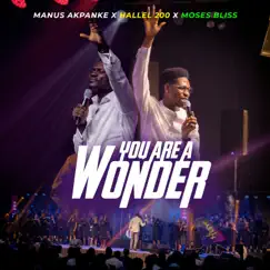 You Are a Wonder - Single by Manus Akpanke, Hallel 200 & Moses Bliss album reviews, ratings, credits
