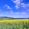 A Beautiful Life album lyrics, reviews, download