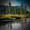 Stream & download Flowing River Sounds for Deep Relaxation and Better Sleep - Single