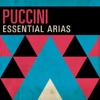 Puccini: Essential Arias