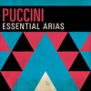 Puccini: Essential Arias, 2017