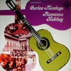 Flamenco Holiday