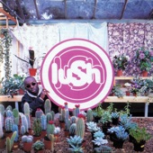 Lush - The Childcatcher