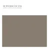 Subterraneans (feat. Martin Gore & William Basinski) - Single album lyrics, reviews, download