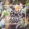 Top 20 Acoustic Tracks Spring 2022 (Instrumental)