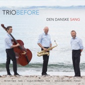 Den Danske Sang artwork