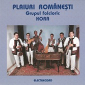 Plaiuri Românești artwork