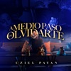 A Medio Paso De Olvidarte - Single