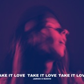 Take it Love artwork