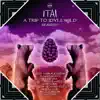 A Trip to Idyllwild Remixes - Single album lyrics, reviews, download