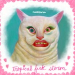 Tropical Fuck Storm - Ann