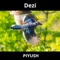 Dezi - Piyush lyrics