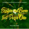 Stream & download System We Burn (feat. Timothy Wisdom, Busta & Peace One) - Single