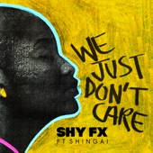We Just Don't Care (feat. Shingai) artwork