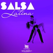 Salsa Latina, Vol. 1 artwork