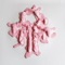 Bubblegum - CAPYAC lyrics