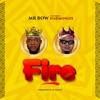 Fire (feat. Harmonize) - Single