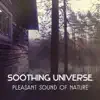 Soothing Universe – Pleasant Sound of Nature for Restore Harmony and Deep Relaxation Your Body, Personal Transformation, Awakened Mind album lyrics, reviews, download
