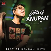 Hits of Anupam Roy artwork