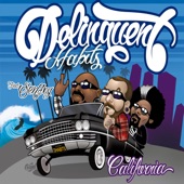 Delinquent Habits - California