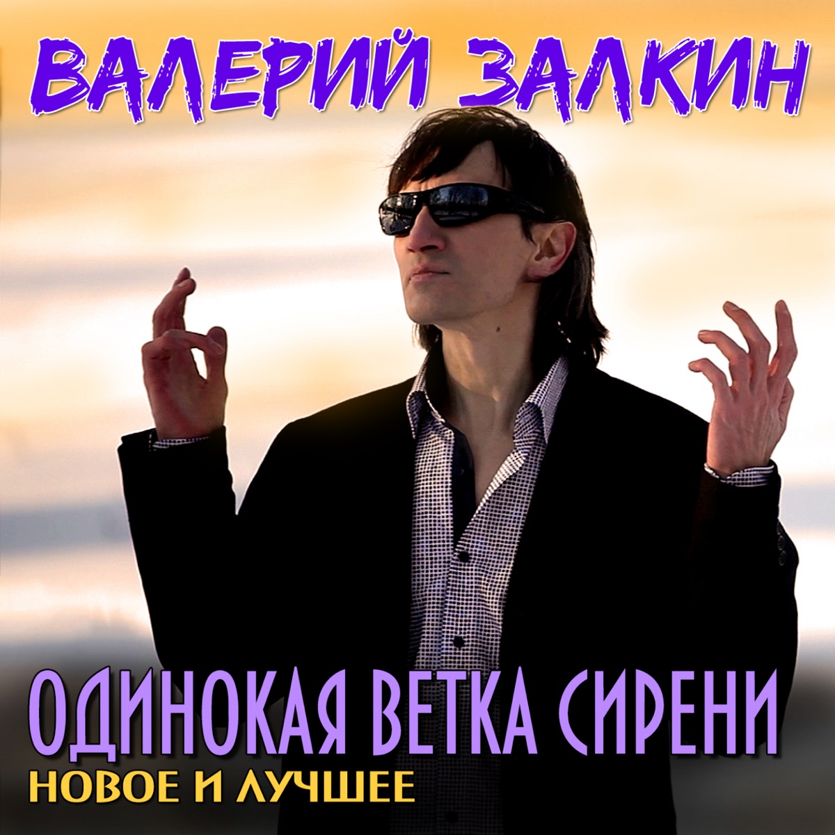 Валерий Залкин – Одинокая ветка сирени (Clubmix): слушать и скачать mp3  песню