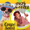 Coupe Soleil - Single