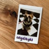 Lou Roy - Angeleyes
