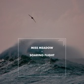 Soaring Flight artwork