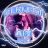 Stream & download Perfect Aim - Single