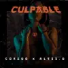 Culpable (feat. Alesso) - Single album lyrics, reviews, download