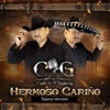 Hermoso Cariño Tejano Version - Single