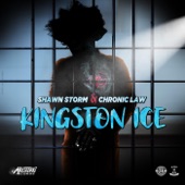 Kingston Ice artwork