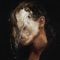 Blue Velvet - 070 Shake lyrics