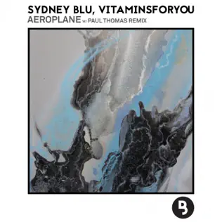 last ned album Sydney Blu, Vitaminsforyou - Aeroplane