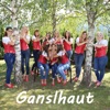 Ganslhaut, 2017