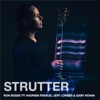 Strutter (feat. Hadrien Feraud, Jeff Lorber & Gary Novak) - Single