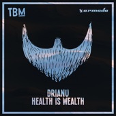 Health Is Wealth artwork