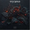 Fly Solo - Single