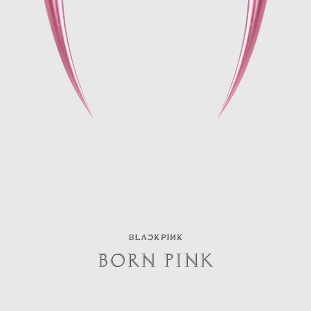 BORN PINK Album Cover